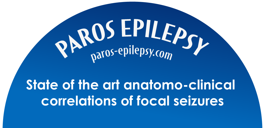 State of the art anatomo-clinical correlations of focal seizures